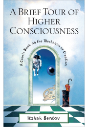 A Brief Tour of Higher Consciousness