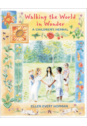Walking the World in Wonder