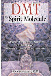 DMT: The Spirit Molecule