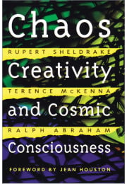 Chaos, Creativity, and Cosmic Consciousness