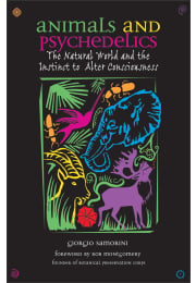 Animals and Psychedelics