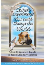 Seven Experiments That Could Change the World