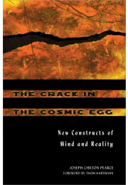 The Crack in the Cosmic Egg