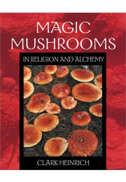 Magic Mushrooms in Religion and Alchemy
