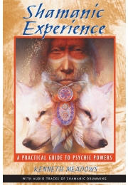 Shamanic Experience