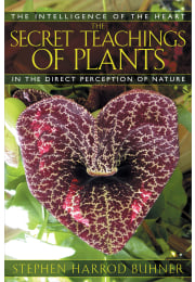 The Secret Teachings of Plants