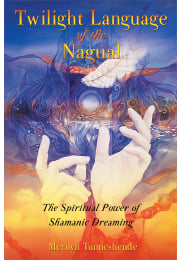 Twilight Language of the Nagual