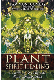 Plant Spirit Healing