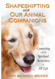 Shapeshifting with Our Animal Companions