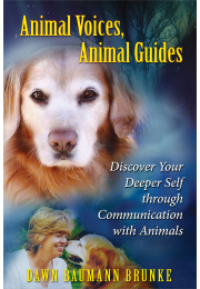 Animal Voices, Animal Guides