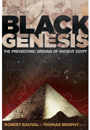 Black Genesis