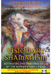 Visionary Shamanism