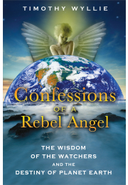 Confessions of a Rebel Angel