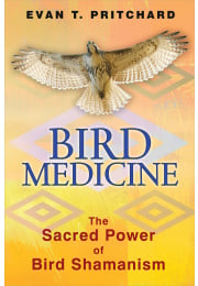 Bird Medicine