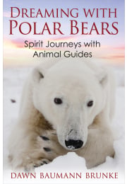Dreaming with Polar Bears
