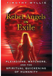 Rebel Angels in Exile