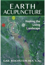 Earth Acupuncture