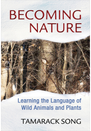 Becoming Nature