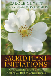 Sacred Plant Initiations