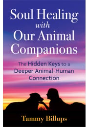 Soul Healing with Our Animal Companions
