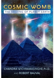 Cosmic Womb