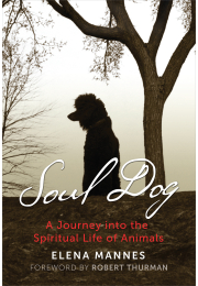 Soul Dog