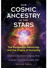 Our Cosmic Ancestry in the Stars