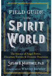 Field Guide to the Spirit World