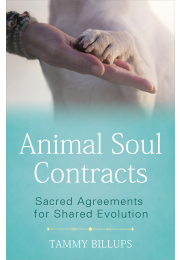 Animal Soul Contracts
