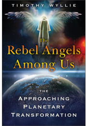 The Rebel Angels among Us