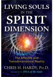 Living Souls in the Spirit Dimension