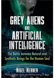 Grey Aliens and Artificial Intelligence