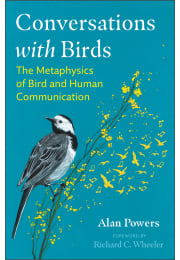 Conversations with Birds