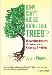 Why Can’t We Be More Like Trees?