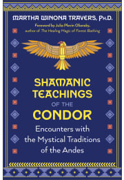 Shamanic Teachings of the Condor