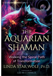 The Aquarian Shaman