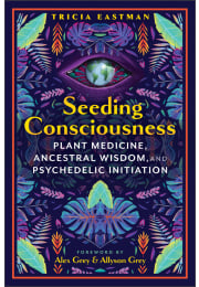 Seeding Consciousness