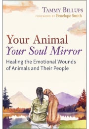 Your Animal — Your Soul Mirror