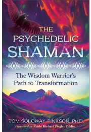 The Psychedelic Shaman