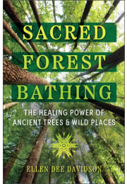 Sacred Forest Bathing