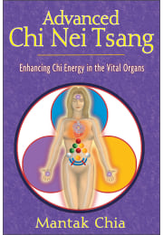 Advanced Chi Nei Tsang