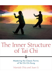 The Inner Structure of Tai Chi