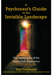 A Psychonaut's Guide to the Invisible Landscape