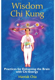 Wisdom Chi Kung