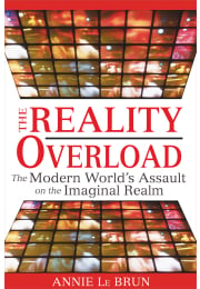 The Reality Overload