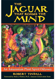 The Jaguar that Roams the Mind