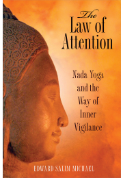 The Law of Attention