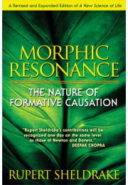 Morphic Resonance