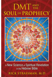 DMT and the Soul of Prophecy