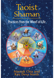 Taoist Shaman
